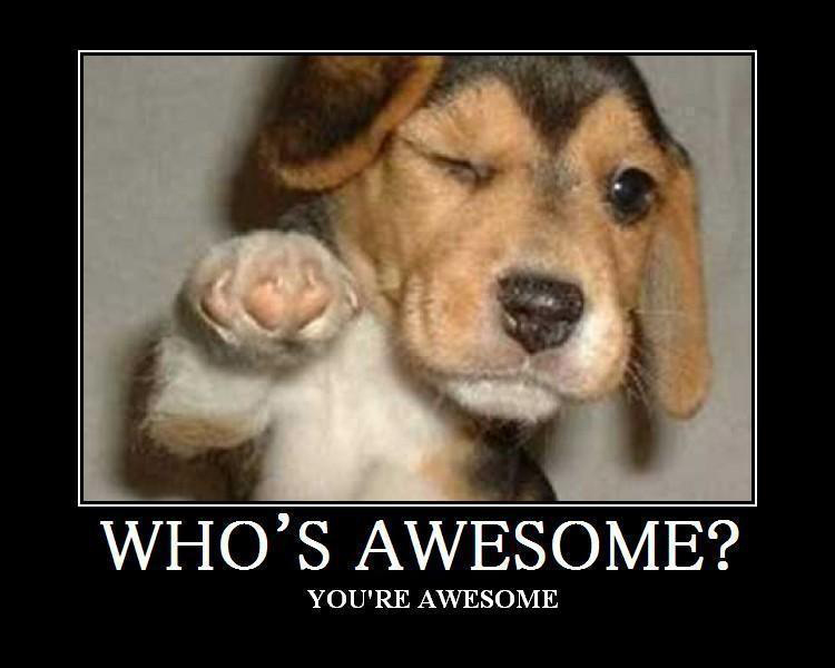 Who's awesome? You're awesome!